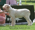 Filename=B-AspectsOfLove.jpg
Filesize=66KiB
Dimensions=600x521
Date added=Sep 16, 2009 B-AspectsOfLove.jpg