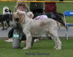 Filename=B-Daydream2.jpg
Filesize=70KiB
Dimensions=700x550
Date added=Sep 16, 2009 B-Daydream2.jpg