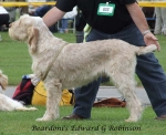 Filename=B-EdwardGRobinson.jpg
Filesize=60KiB
Dimensions=600x488
Date added=Sep 16, 2009 B-EdwardGRobinson.jpg