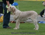 Filename=B-EdwardGRobinson2.jpg
Filesize=69KiB
Dimensions=700x550
Date added=Sep 16, 2009 B-EdwardGRobinson2.jpg