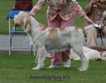 Filename=B-RudeBoy2.jpg
Filesize=73KiB
Dimensions=700x550
Date added=Sep 16, 2009 B-RudeBoy2.jpg