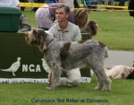 Filename=C-Ted-Baker-2.jpg
Filesize=76KiB
Dimensions=700x550
Date added=Sep 16, 2009 C-Ted-Baker-2.jpg