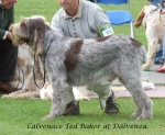 Filename=C-TedBaker.jpg
Filesize=74KiB
Dimensions=600x494
Date added=Sep 16, 2009 C-TedBaker.jpg