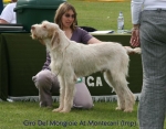 Filename=Ciro-DelMongioie.jpg
Filesize=63KiB
Dimensions=700x550
Date added=Sep 16, 2009 Ciro-DelMongioie.jpg