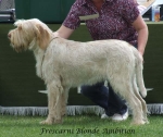 Filename=F-BlondeAmbition.jpg
Filesize=66KiB
Dimensions=600x506
Date added=Sep 16, 2009 F-BlondeAmbition.jpg