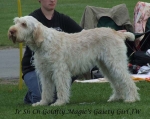 Filename=G-MagicGaietyGirl.jpg
Filesize=56KiB
Dimensions=600x476
Date added=Sep 16, 2009 G-MagicGaietyGirl.jpg