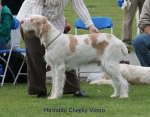 Filename=H-CheekyVimto.jpg
Filesize=71KiB
Dimensions=700x550
Date added=Sep 16, 2009 H-CheekyVimto.jpg