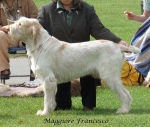 Filename=M-Francesco.jpg
Filesize=73KiB
Dimensions=600x509
Date added=Sep 16, 2009 M-Francesco.jpg