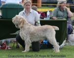 Filename=O-BreathOfHope.jpg
Filesize=71KiB
Dimensions=700x550
Date added=Sep 16, 2009 O-BreathOfHope.jpg