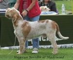 Filename=S-Borodin.jpg
Filesize=65KiB
Dimensions=600x493
Date added=Sep 16, 2009 S-Borodin.jpg