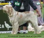 Filename=T-DoubleJack.jpg
Filesize=69KiB
Dimensions=600x514
Date added=Sep 16, 2009 T-DoubleJack.jpg