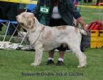 Filename=T-DoubleJack2.jpg
Filesize=80KiB
Dimensions=700x550
Date added=Sep 16, 2009 T-DoubleJack2.jpg