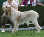 Filename=T-NewDawn.jpg
Filesize=55KiB
Dimensions=600x498
Date added=Sep 16, 2009 T-NewDawn.jpg