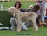 Filename=W-Mistero 2.jpg
Filesize=68KiB
Dimensions=700x550
Date added=Sep 16, 2009 W-Mistero 2.jpg