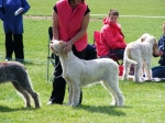 Filename=H-TickledPink.JPG
Filesize=87KiB
Dimensions=615x461
Date added=Sep 16, 2009 H-TickledPink.JPG