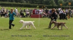 Filename=1BCC RBCC.jpg
Filesize=127KiB
Dimensions=1000x550
Date added=Sep 16, 2009 1BCC RBCC.jpg