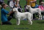 Filename=1BCC.jpg
Filesize=111KiB
Dimensions=800x550
Date added=Sep 16, 2009 1BCC.jpg