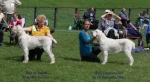 Filename=1BOB BOS.jpg
Filesize=131KiB
Dimensions=1000x550
Date added=Sep 16, 2009 1BOB BOS.jpg
