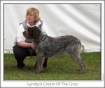 Filename=L-CreamOfTheCrop.jpg
Filesize=88KiB
Dimensions=760x637
Date added=Sep 16, 2009 L-CreamOfTheCrop.jpg