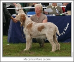 Filename=M-MareLeone.jpg
Filesize=95KiB
Dimensions=760x637
Date added=Sep 16, 2009 M-MareLeone.jpg