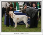 Filename=M-WahWah.jpg
Filesize=96KiB
Dimensions=760x637
Date added=Sep 16, 2009 M-WahWah.jpg