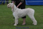 Filename=A-Amelia.jpg
Filesize=51KiB
Dimensions=650x450
Date added=Sep 16, 2009 A-Amelia.jpg