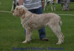 Filename=B-EdwardGRobinson.jpg
Filesize=53KiB
Dimensions=650x450
Date added=Sep 16, 2009 B-EdwardGRobinson.jpg
