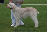 Filename=G-MagicGaietyGirl.jpg
Filesize=51KiB
Dimensions=650x450
Date added=Sep 16, 2009 G-MagicGaietyGirl.jpg