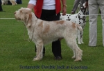 Filename=T-DoubleJack.jpg
Filesize=54KiB
Dimensions=650x450
Date added=Sep 16, 2009 T-DoubleJack.jpg