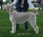 Filename=G-Arvo.jpg
Filesize=65KiB
Dimensions=600x520
Date added=Sep 16, 2009 G-Arvo.jpg