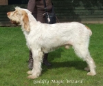 Filename=G-MagicWizard.jpg
Filesize=62KiB
Dimensions=600x503
Date added=Sep 16, 2009 G-MagicWizard.jpg