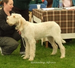 Filename=B-AlFresco.jpg
Filesize=69KiB
Dimensions=600x540
Date added=Sep 16, 2009 B-AlFresco.jpg