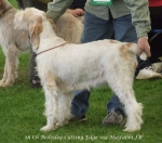 Filename=B-CuttingEdge.jpg
Filesize=61KiB
Dimensions=600x529
Date added=Sep 16, 2009 B-CuttingEdge.jpg