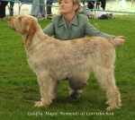 Filename=G-MagicMoments.jpg
Filesize=71KiB
Dimensions=600x539
Date added=Sep 16, 2009 G-MagicMoments.jpg