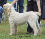 Filename=A-Amelia.jpg
Filesize=65KiB
Dimensions=600x524
Date added=Sep 16, 2009 A-Amelia.jpg
