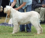 Filename=E-Enchantress.jpg
Filesize=68KiB
Dimensions=600x508
Date added=Sep 16, 2009 E-Enchantress.jpg