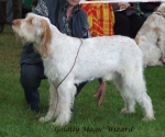 Filename=G-MagicWizard.jpg
Filesize=57KiB
Dimensions=600x503
Date added=Sep 16, 2009 G-MagicWizard.jpg