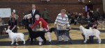Filename=BPIS.JPG
Filesize=587KiB
Dimensions=1293x600
Date added=Sep 16, 2009 BPIS.JPG