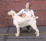 Filename=O-BreathOfHope.jpg
Filesize=1178KiB
Dimensions=1317x1188
Date added=Sep 16, 2009 O-BreathOfHope.jpg
