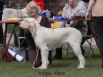 Filename=A-Alana.jpg
Filesize=62KiB
Dimensions=600x450
Date added=Sep 16, 2009 A-Alana.jpg