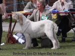 Filename=B-EcoDiMare.jpg
Filesize=63KiB
Dimensions=600x450
Date added=Sep 16, 2009 B-EcoDiMare.jpg