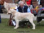 Filename=C-Carlo.jpg
Filesize=60KiB
Dimensions=600x450
Date added=Sep 16, 2009 C-Carlo.jpg