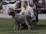 Filename=C-SassySalsa.jpg
Filesize=59KiB
Dimensions=600x450
Date added=Sep 16, 2009 C-SassySalsa.jpg