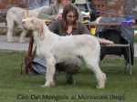 Filename=Ciro-DelMongioie.jpg
Filesize=62KiB
Dimensions=600x450
Date added=Sep 16, 2009 Ciro-DelMongioie.jpg