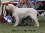 Filename=F-BlondeAmbition.jpg
Filesize=56KiB
Dimensions=600x450
Date added=Sep 16, 2009 F-BlondeAmbition.jpg