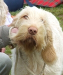 Filename=F-BlondeAmbition2b.JPG
Filesize=61KiB
Dimensions=600x713
Date added=Sep 16, 2009 F-BlondeAmbition2b.JPG