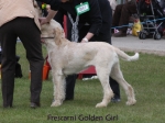 Filename=F-GoldenGirl.jpg
Filesize=52KiB
Dimensions=600x450
Date added=Sep 16, 2009 F-GoldenGirl.jpg