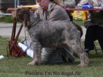 Filename=F-ImNoAngel.jpg
Filesize=61KiB
Dimensions=600x450
Date added=Sep 16, 2009 F-ImNoAngel.jpg