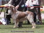 Filename=I-Dessinzano.jpg
Filesize=55KiB
Dimensions=600x450
Date added=Sep 16, 2009 I-Dessinzano.jpg
