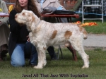 Filename=J-AllThatJazz.jpg
Filesize=55KiB
Dimensions=600x450
Date added=Sep 16, 2009 J-AllThatJazz.jpg